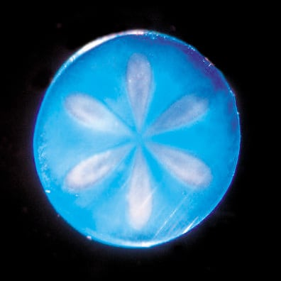 TOALSON HD ASTER POLY